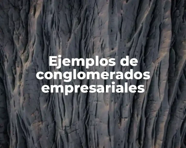 Ejemplos de conglomerados empresariales
