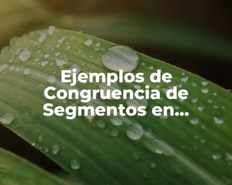 Ejemplos de Congruencia de Segmentos en Geometría