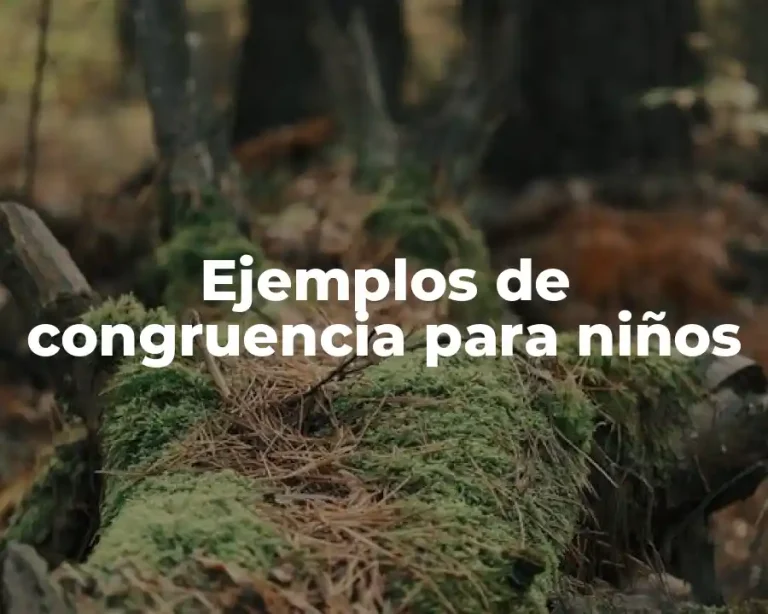 Ejemplos de congruencia para niños
