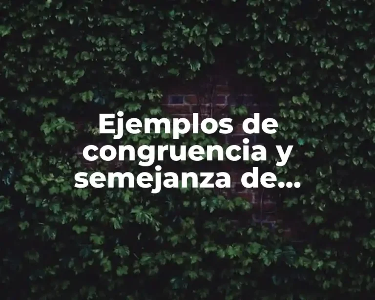 Ejemplos de congruencia y semejanza de triángulos, cuadriláteros