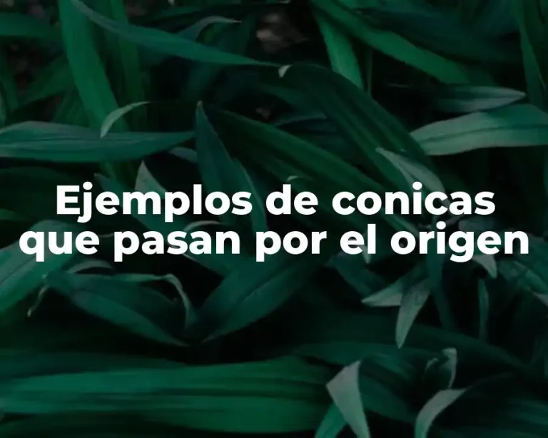 Ejemplos de conicas que pasan por el origen