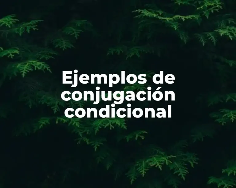 Ejemplos de conjugación condicional