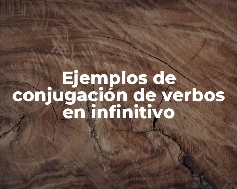 Ejemplos de conjugación de verbos en infinitivo