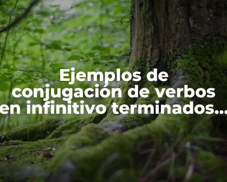 Ejemplos de conjugación de verbos en infinitivo terminados en zar