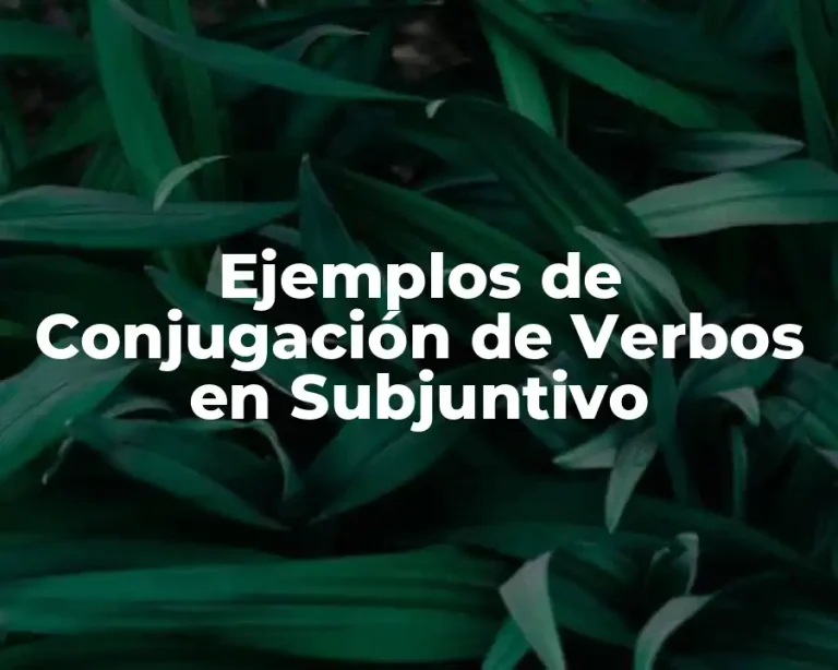 Ejemplos de Conjugación de Verbos en Subjuntivo
