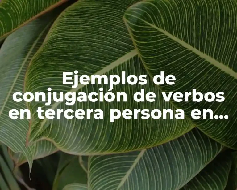 Ejemplos de conjugación de verbos en tercera persona en inglés