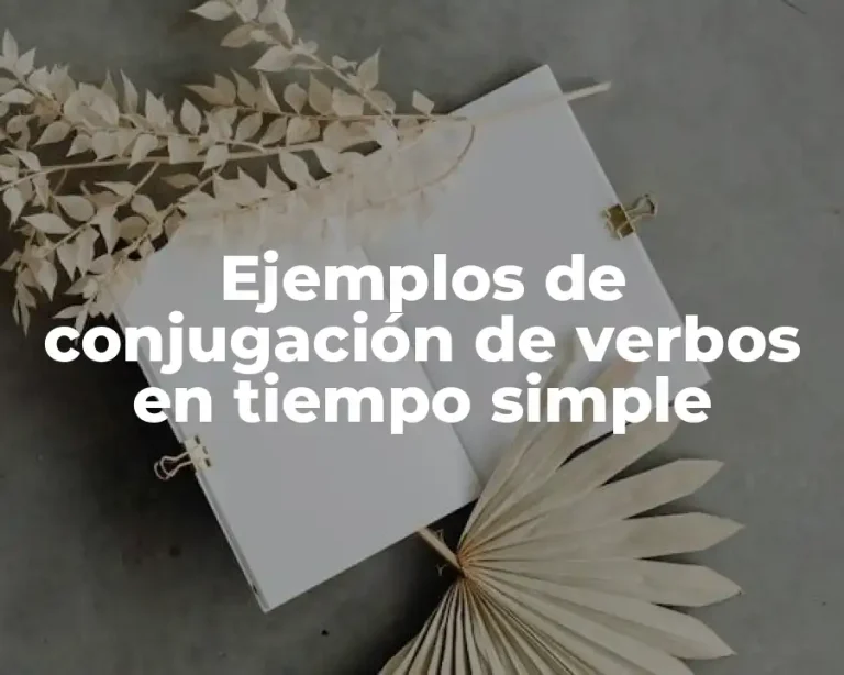 Ejemplos de conjugación de verbos en tiempo simple