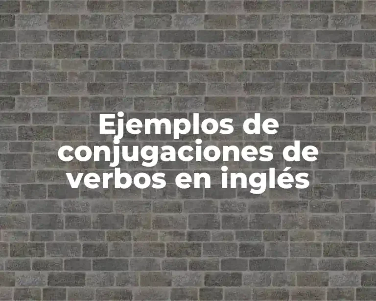 Ejemplos de conjugaciones de verbos en inglés