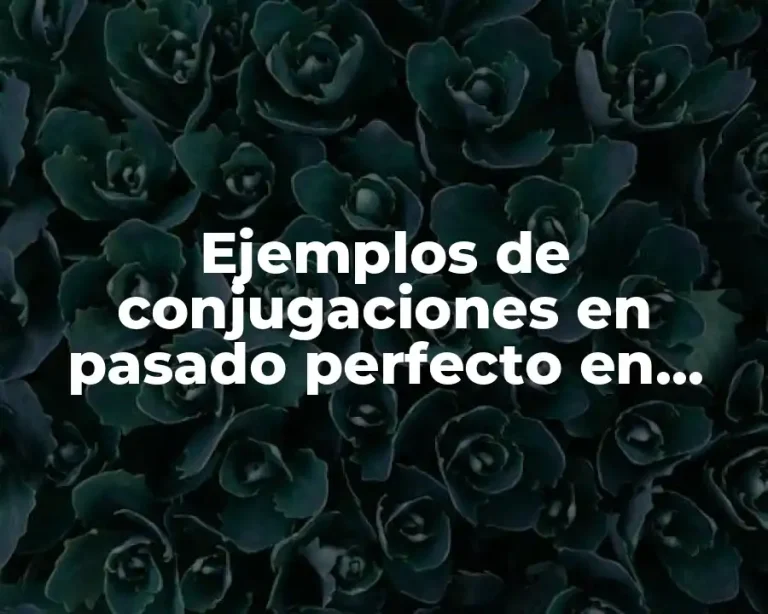 Ejemplos de conjugaciones en pasado perfecto en inglés y español