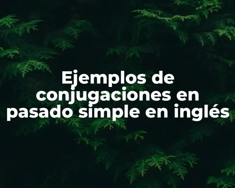 Ejemplos de conjugaciones en pasado simple en inglés