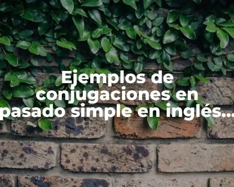 Ejemplos de conjugaciones en pasado simple en inglés y español