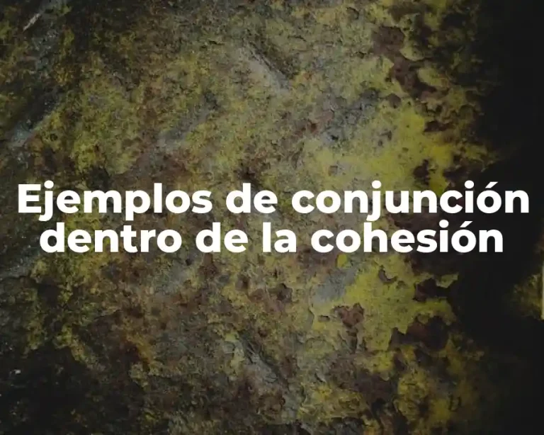 Ejemplos de conjunción dentro de la cohesión