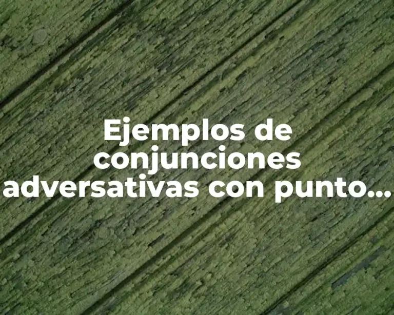 Ejemplos de conjunciones adversativas con punto y coma