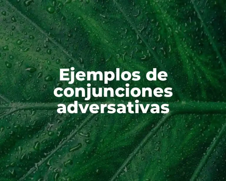 Ejemplos de conjunciones adversativas