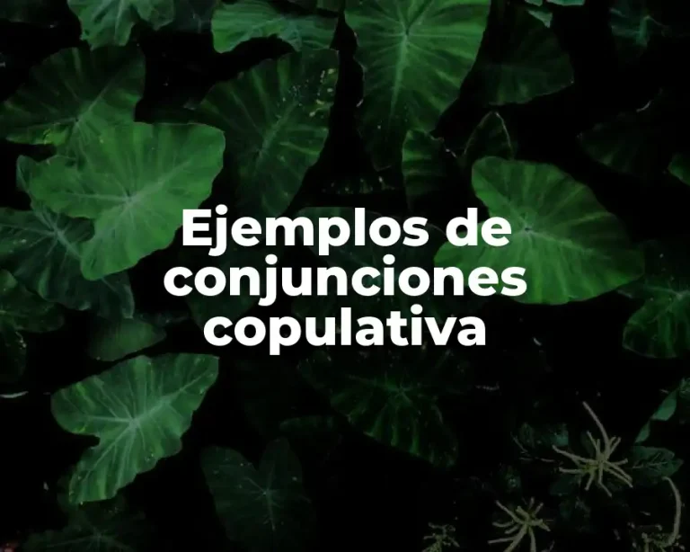 Ejemplos de conjunciones copulativa