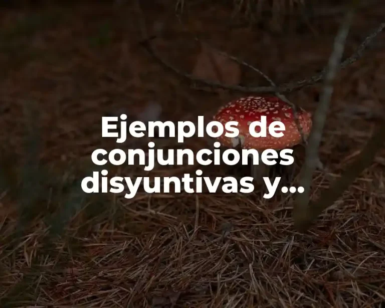 Ejemplos de conjunciones disyuntivas y Significado
