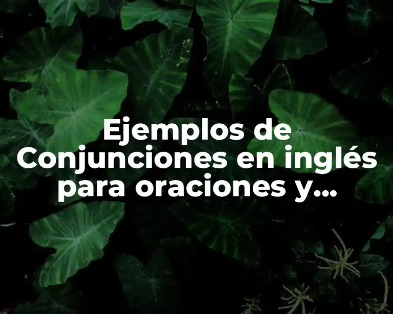 Ejemplos de Conjunciones en inglés para oraciones y Significado