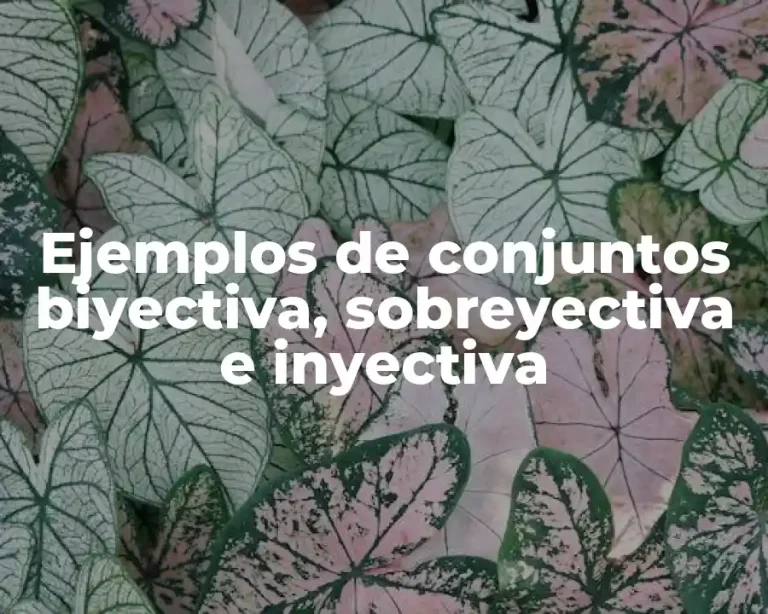 Ejemplos de conjuntos biyectiva, sobreyectiva e inyectiva