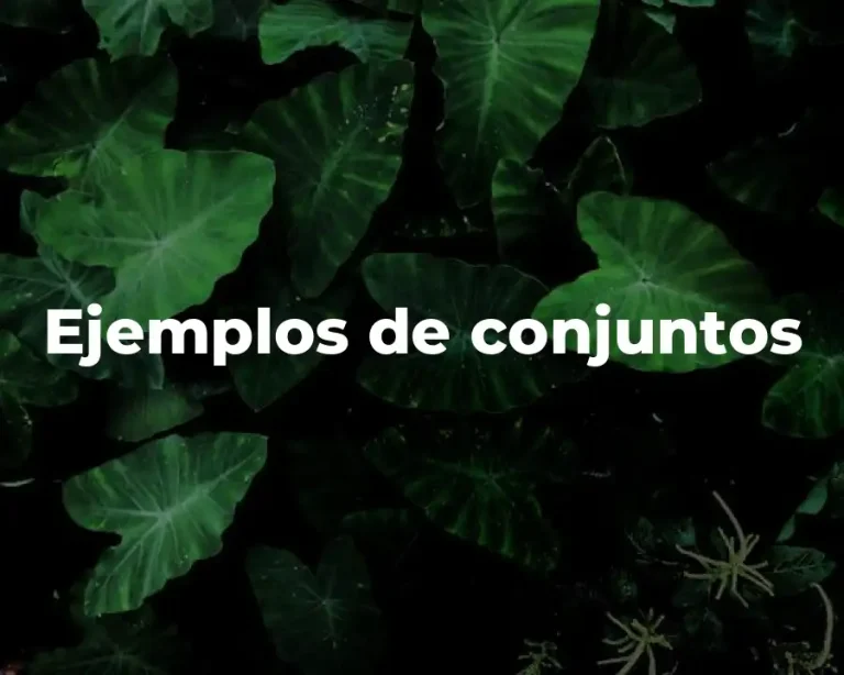 Ejemplos de conjuntos