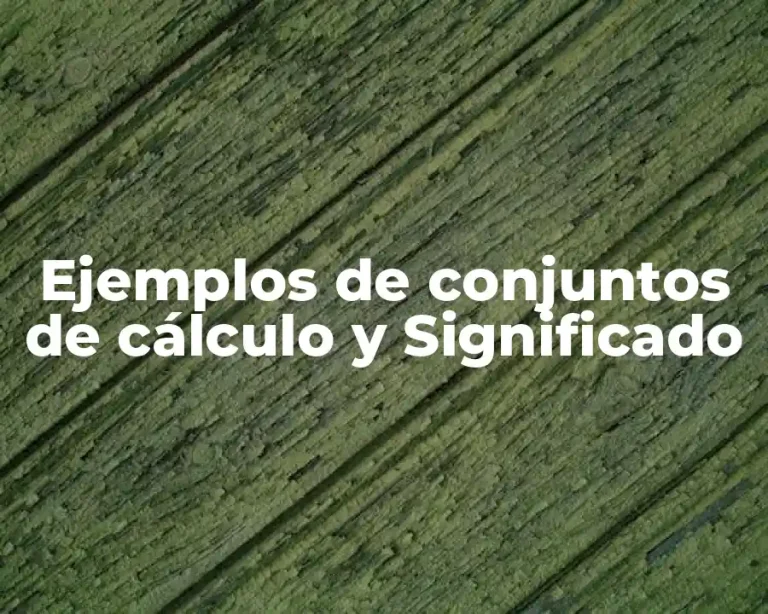 Ejemplos de conjuntos de cálculo y Significado