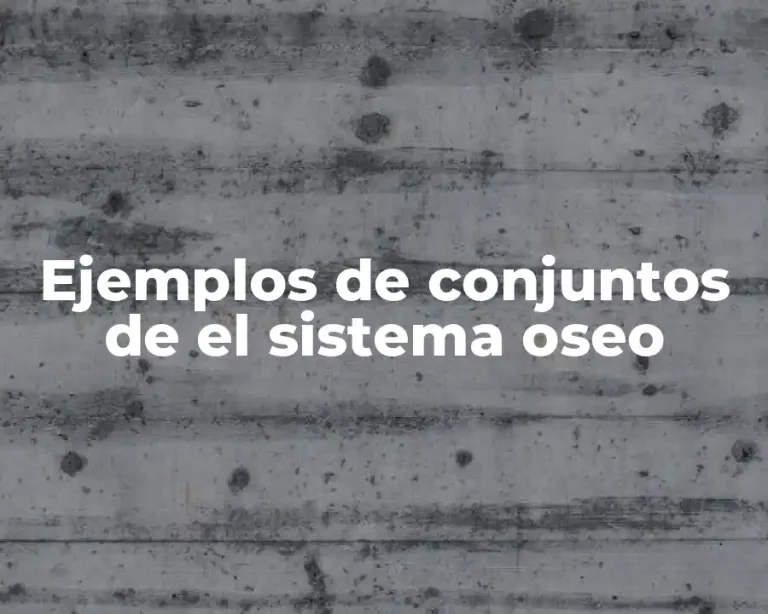 Ejemplos de conjuntos de el sistema oseo