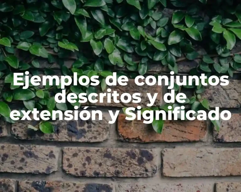 Ejemplos de conjuntos descritos y de extensión y Significado
