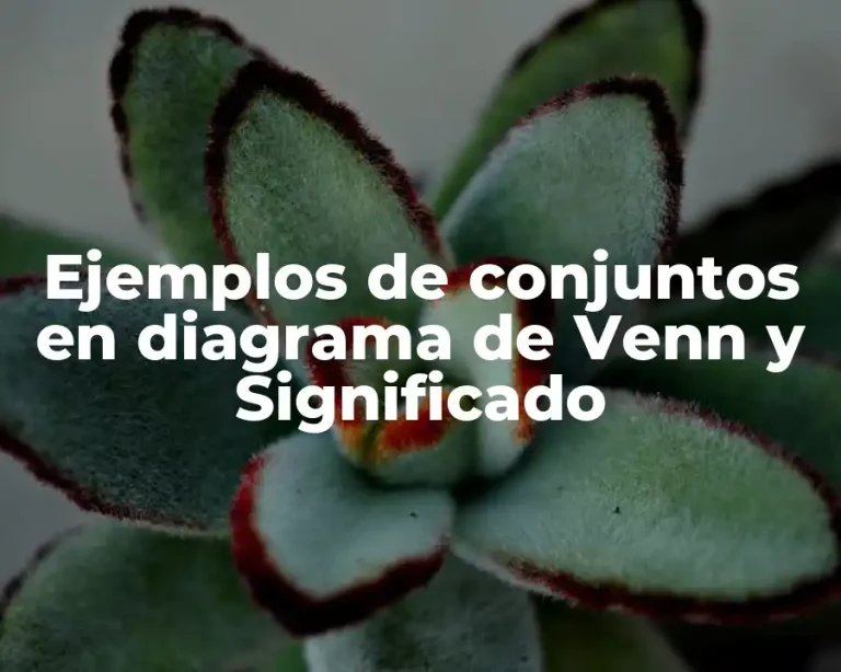 Ejemplos de conjuntos en diagrama de Venn y Significado
