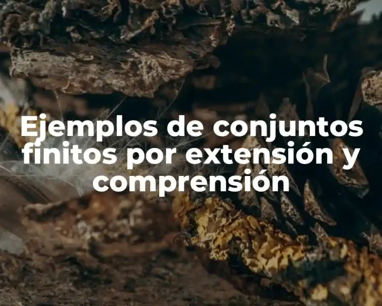 Ejemplos de conjuntos finitos por extensión y comprensión