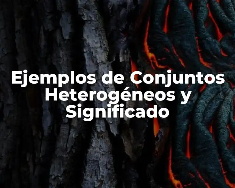 Ejemplos de Conjuntos Heterogéneos y Significado