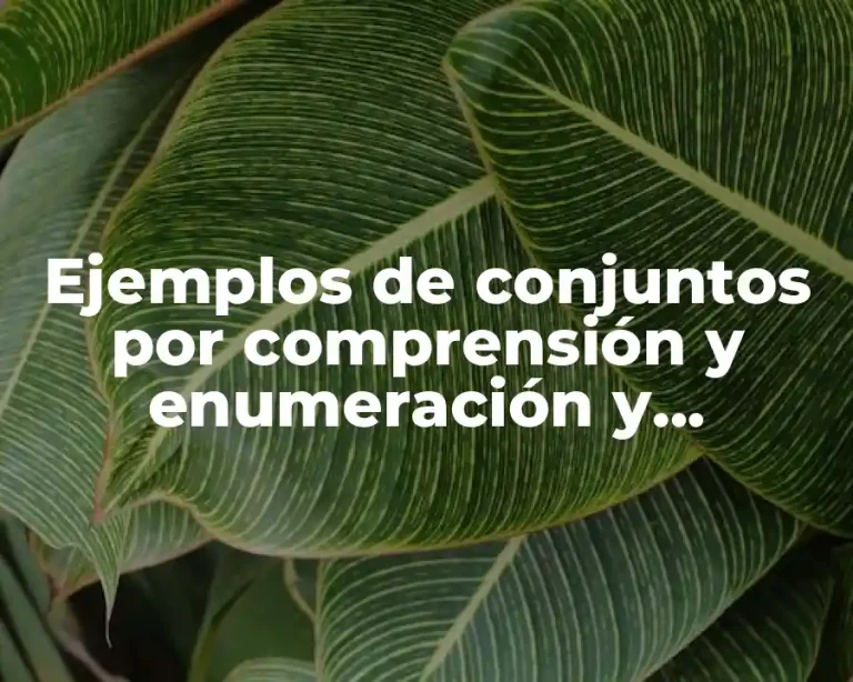 Ejemplos de conjuntos por comprensión y enumeración y Significado