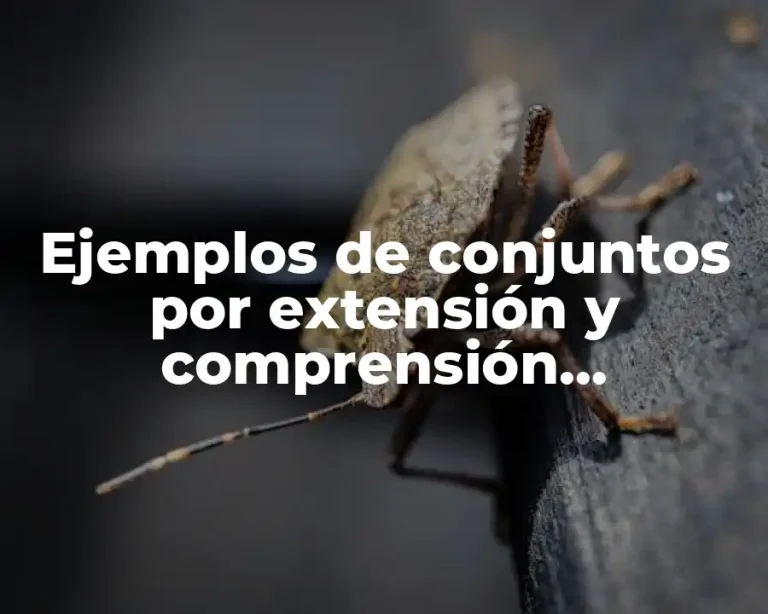 Ejemplos de conjuntos por extensión y comprensión numericos y Significado