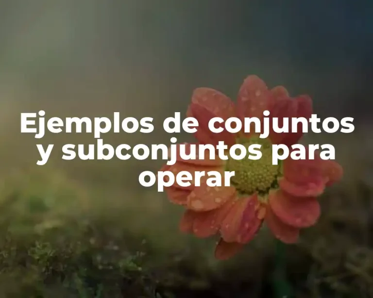 Ejemplos de conjuntos y subconjuntos para operar