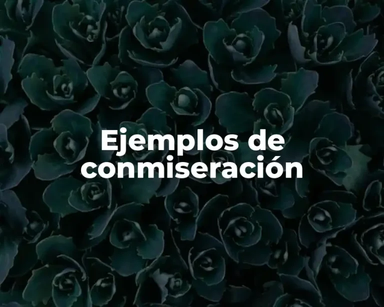 Ejemplos de conmiseración