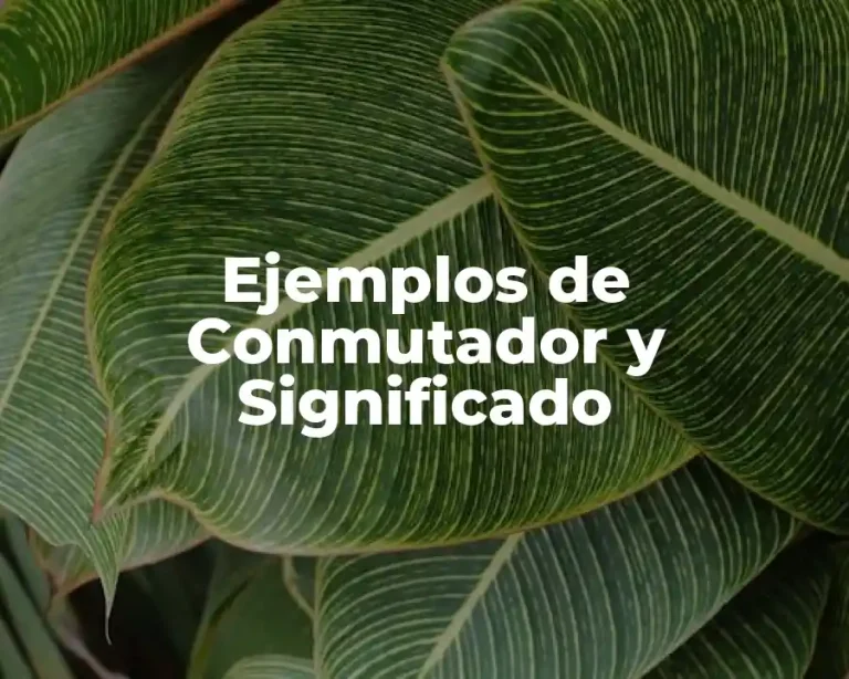Ejemplos de Conmutador y Significado