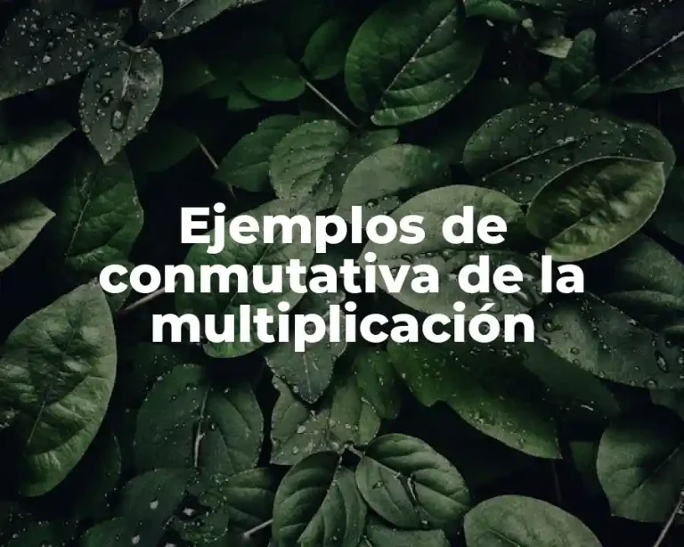 Ejemplos de conmutativa de la multiplicación