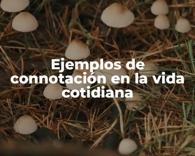 Ejemplos de connotación en la vida cotidiana