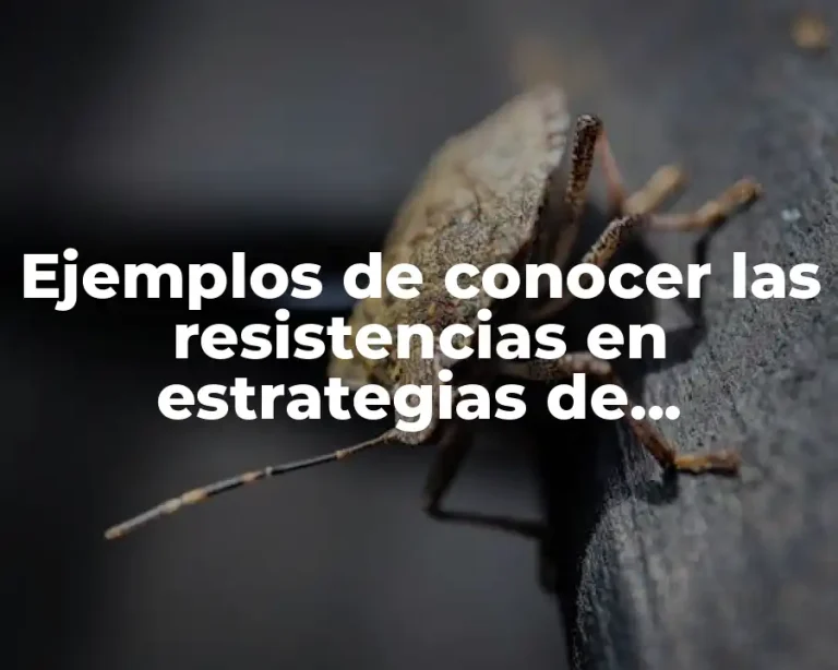 Ejemplos de conocer las resistencias en estrategias de persuasión