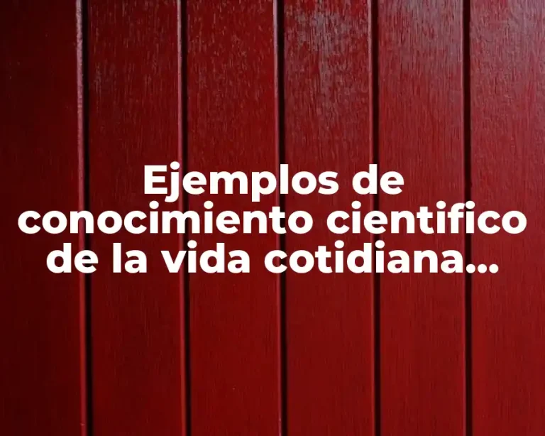 Ejemplos de conocimiento cientifico de la vida cotidiana dibujos