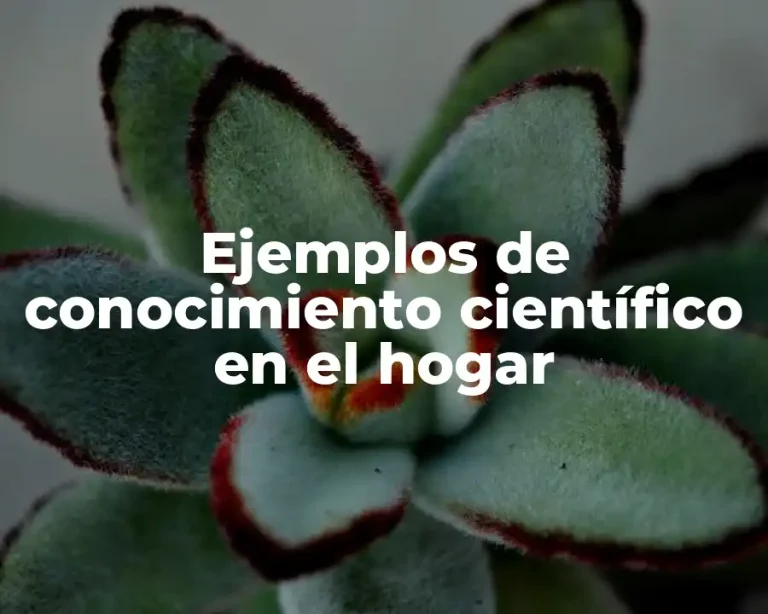 Ejemplos de conocimiento científico en el hogar