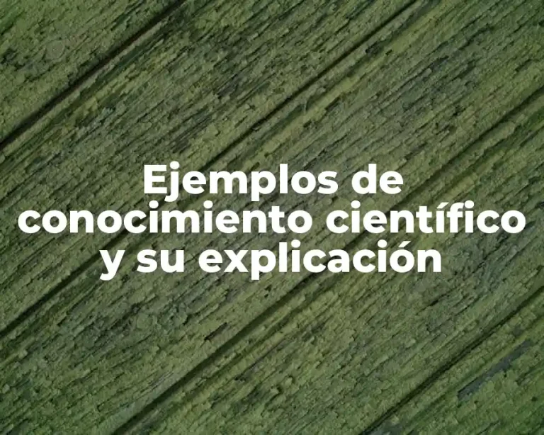 Ejemplos de conocimiento científico y su explicación