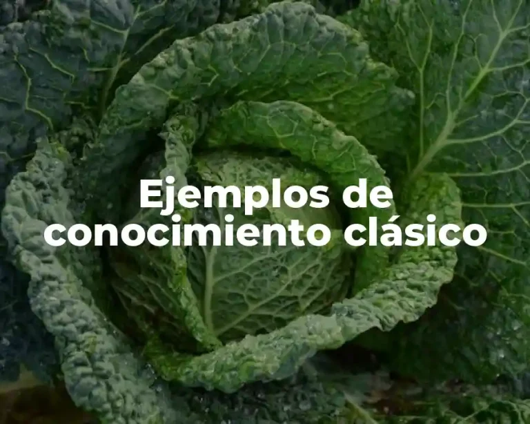 Ejemplos de conocimiento clásico