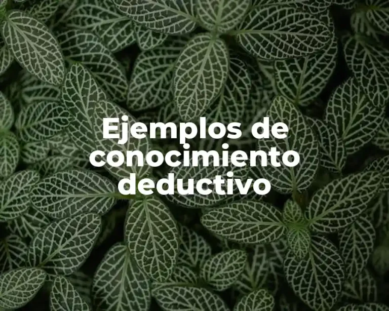 Ejemplos de conocimiento deductivo