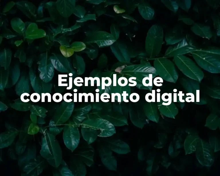 Ejemplos de conocimiento digital