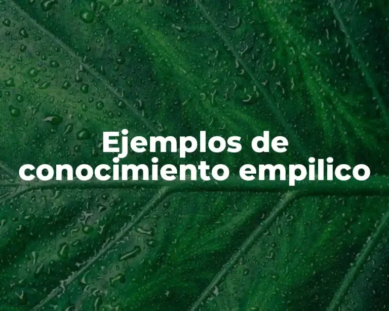 Ejemplos de conocimiento empilico