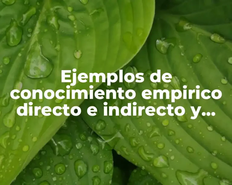 Ejemplos de conocimiento empirico directo e indirecto y Significado