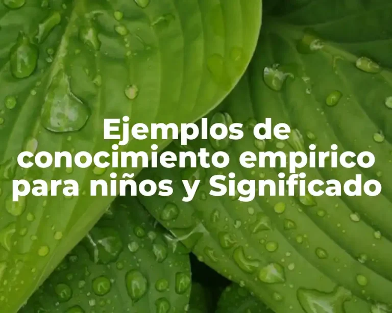 Ejemplos de conocimiento empirico para niños y Significado