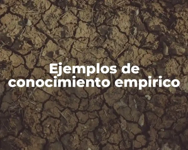 Ejemplos de conocimiento empirico