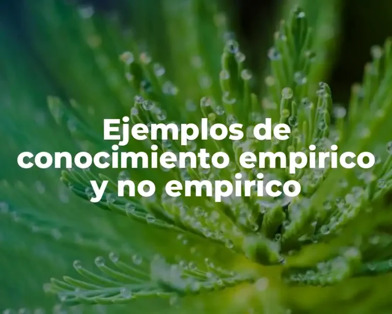 Ejemplos de conocimiento empirico y no empirico