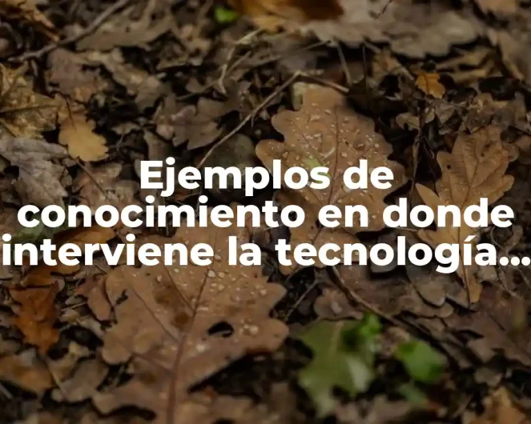 Ejemplos de conocimiento en donde interviene la tecnología y Significado