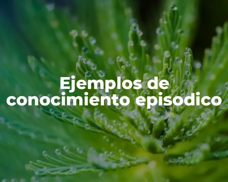 Ejemplos de conocimiento episodico
